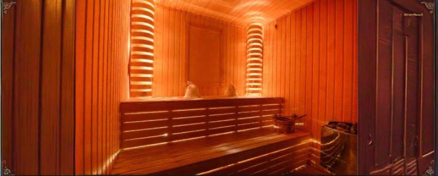 Infrared Sauna Info: Everything You Need to Know
